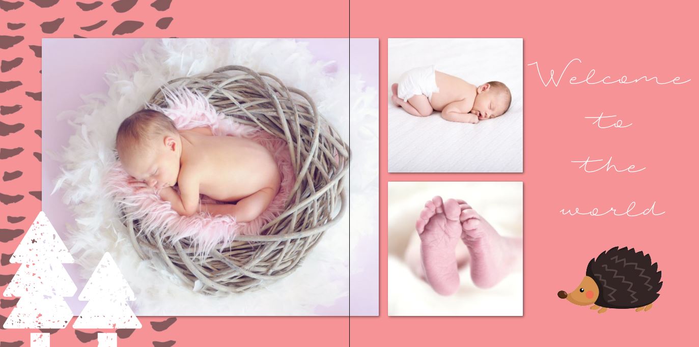 Photo Book - Woodland Baby Girl square 2-3