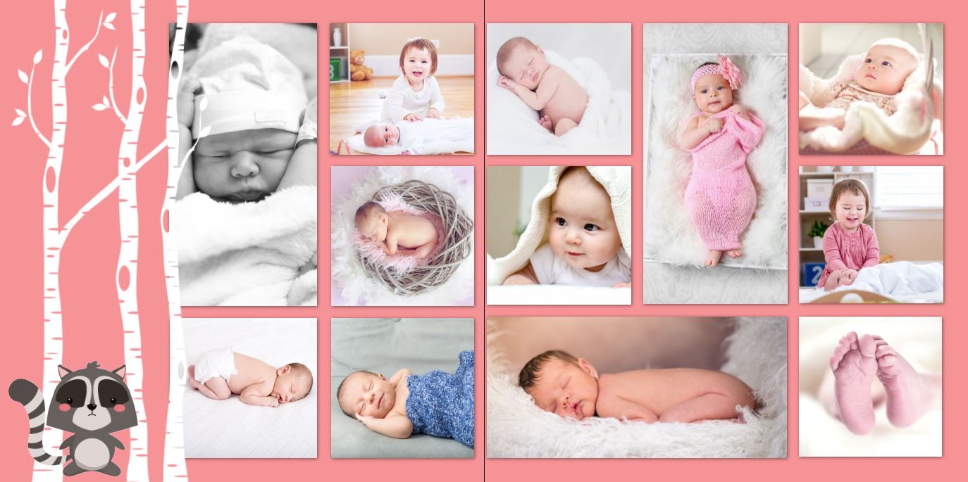 Photo Book - Woodland Baby Girl square 8-9