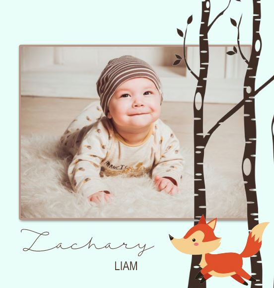 Photo Book - Woodland Baby Boy square Front