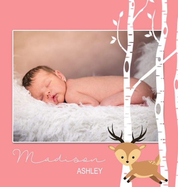 Photo Book - Woodland Baby Girl square Front