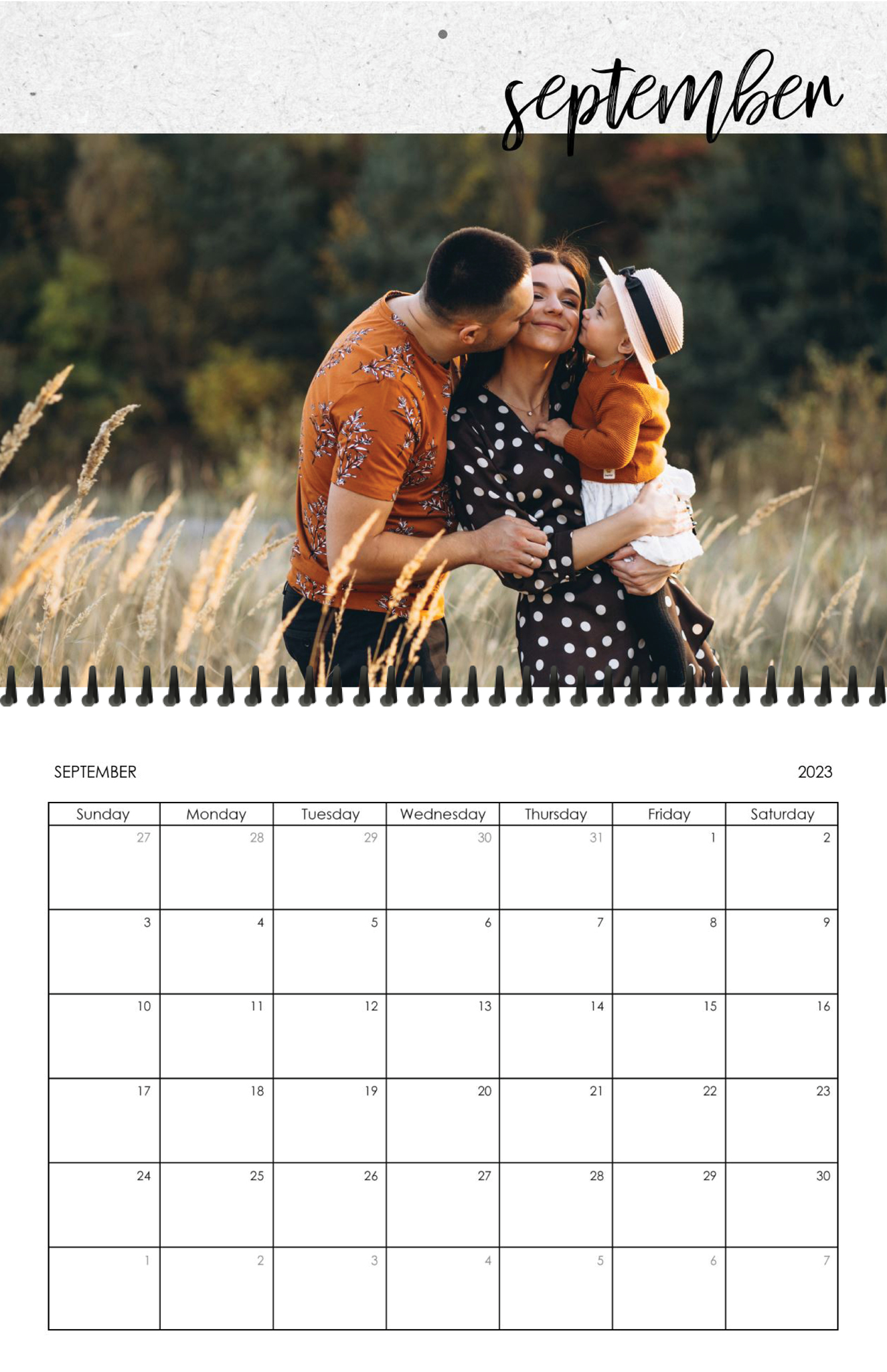 Wall Calendar Brushed Months 11x8.5 09