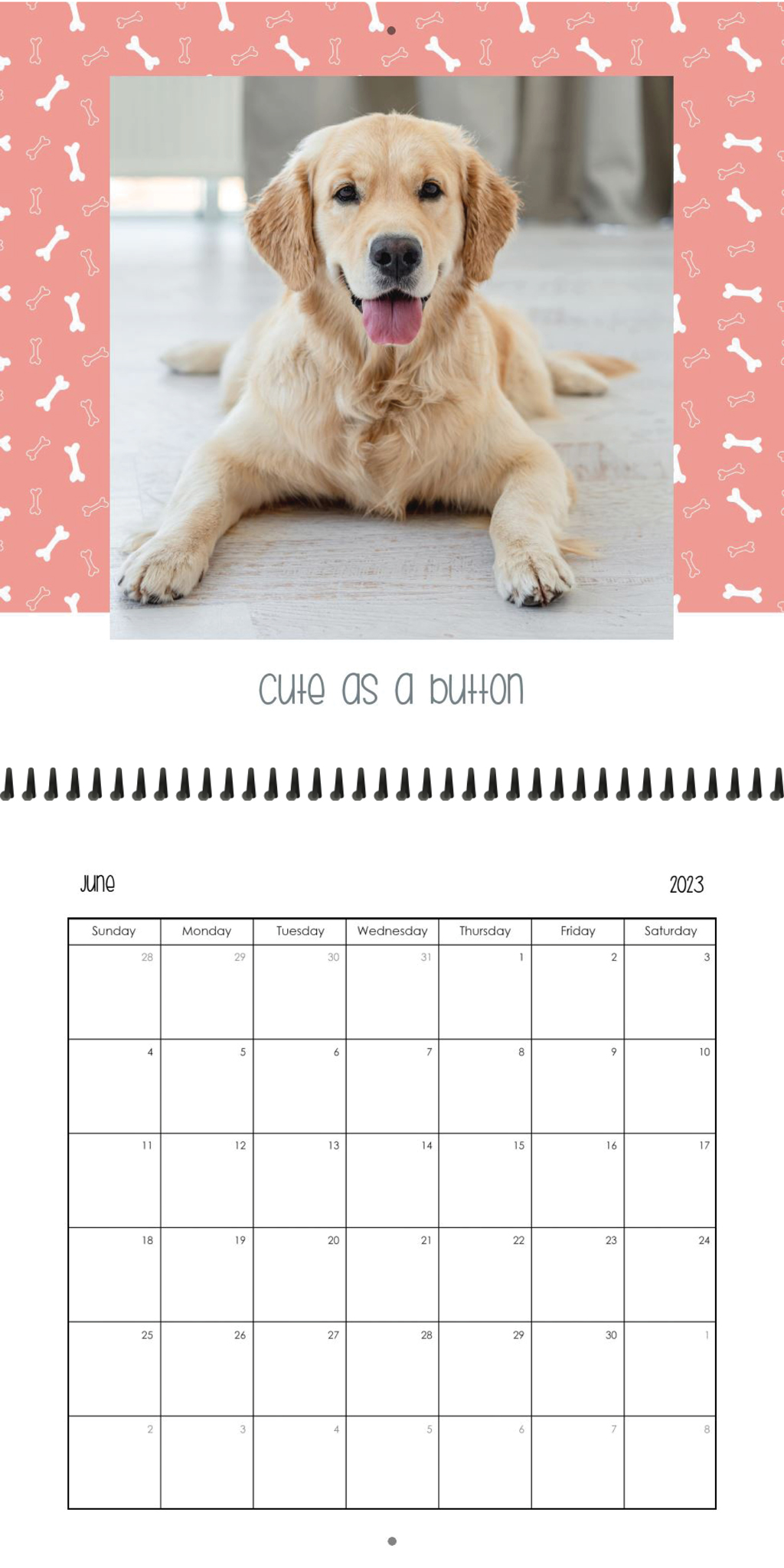 Wall Calendar Pet Pals 12x12 06